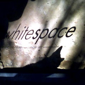Whitespace_BlackCat