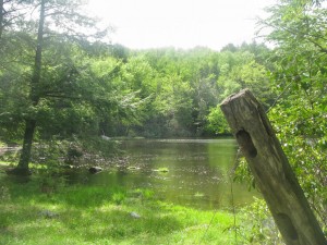 camp_in_massachusetts_3___fence_post_by_the_pond_by_rowyestock-d8xjorh